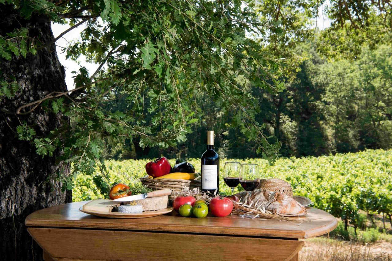Bastide De Fave Bed & Breakfast Brue-Auriac Eksteriør bilde